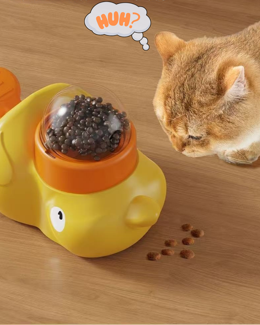 Curious Pet Feeder