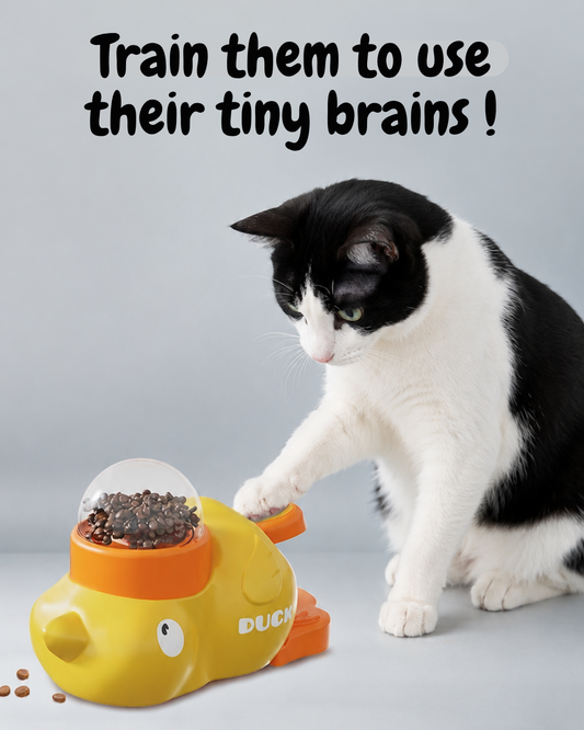 Curious Pet Feeder
